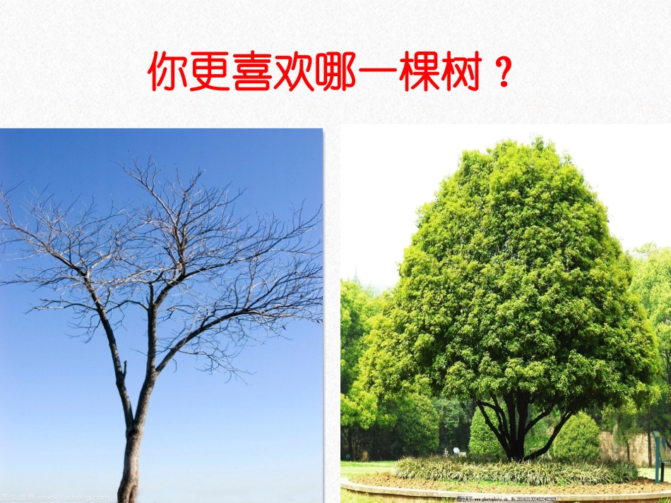 《扩句》微课课件_第2页