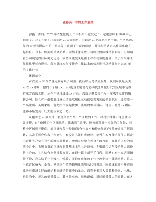 业务员一年的工作总结