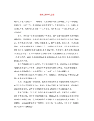 统计工作个人总结