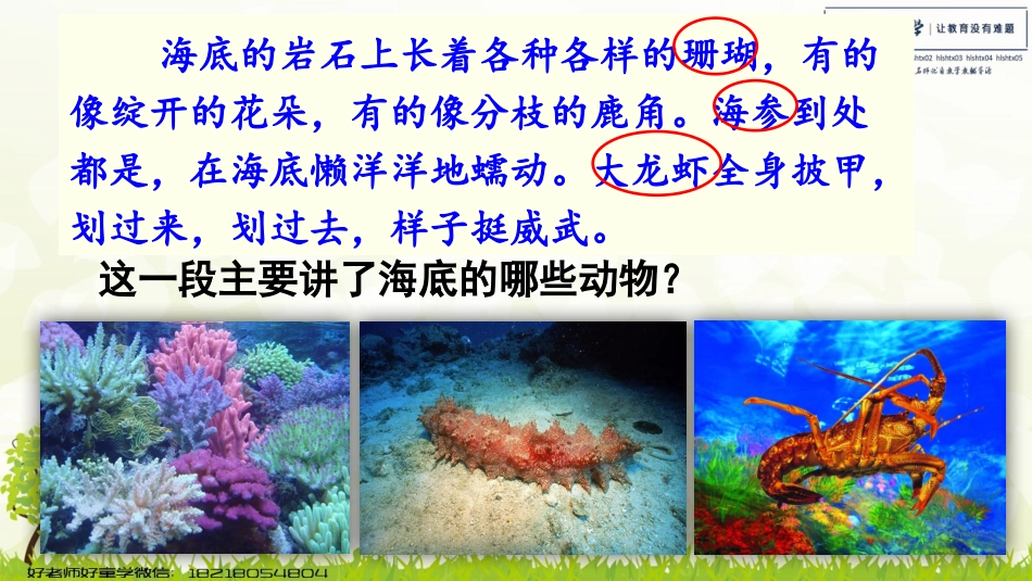 -富饶的西沙群岛_第1页