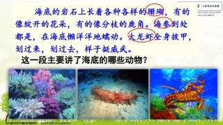 -富饶的西沙群岛