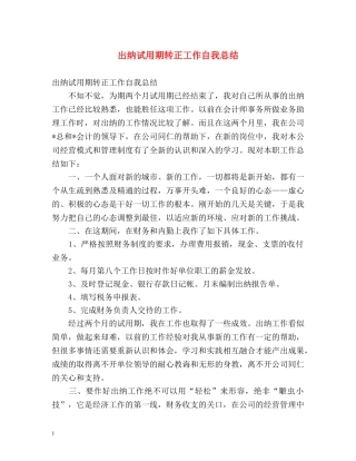 出纳试用期转正工作自我总结 