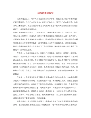 出纳试用期自我评价 