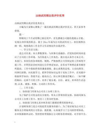 出纳试用期自我评价优秀 