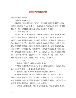 出纳试用期自我评价2 