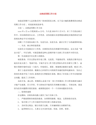 出纳试用期工作小结 