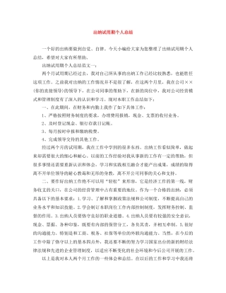 出纳试用期个人总结 