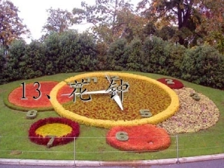 花钟-PPT课件