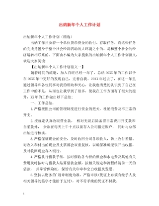 出纳新年个人工作计划 