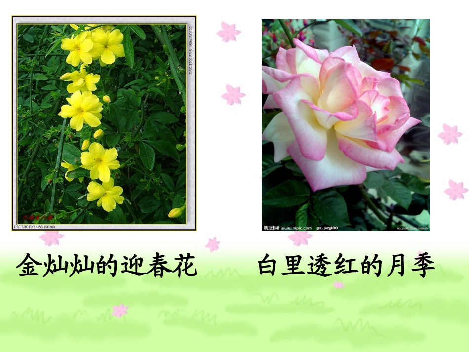 高尔基和他的儿子_第2页
