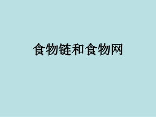 教科版五年级科学上册-食物链和食物网