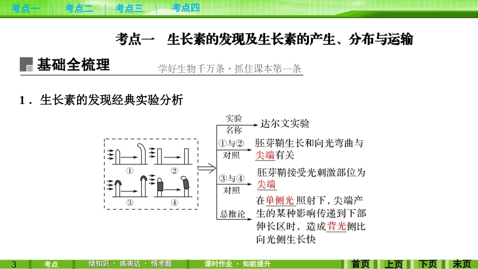 第27讲植物的激素调节_第3页