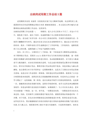 出纳岗试用期工作总结3篇 