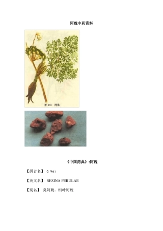 阿魏中药资料