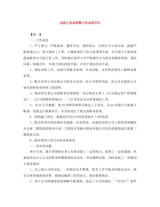 出纳人员试用期工作总结开头 