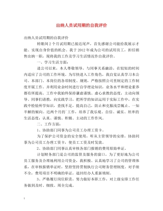 出纳人员试用期的自我评价 