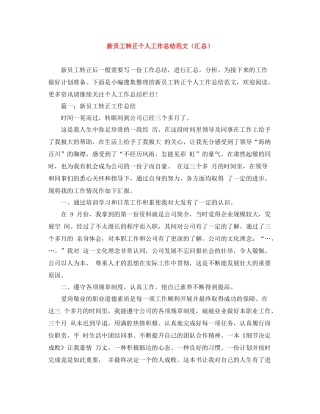 新员工转正个人工作总结范文（汇总）