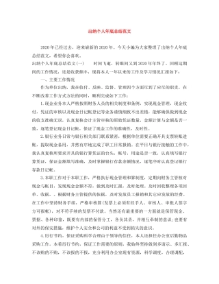 出纳个人年底总结范文 