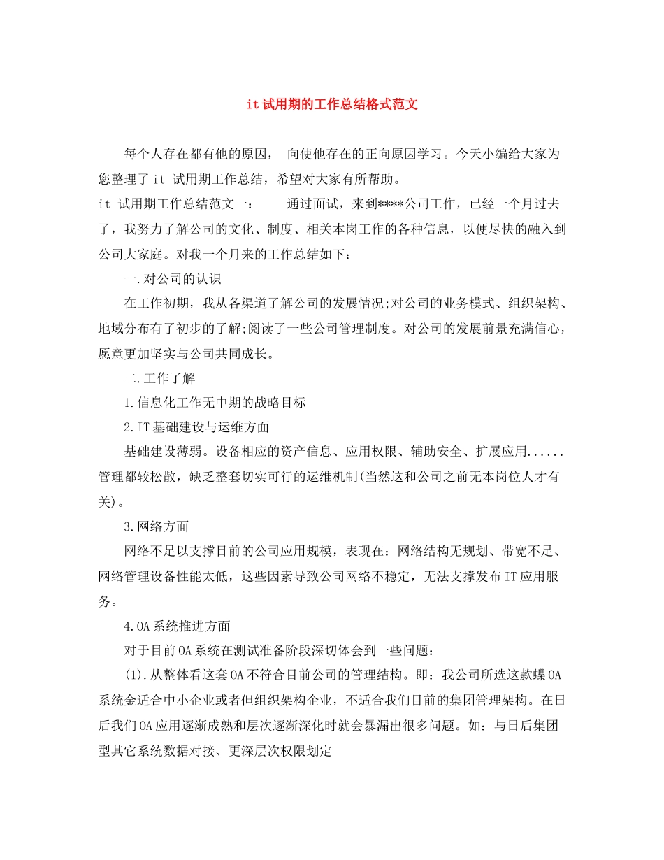 it试用期的工作总结格式范文_第1页
