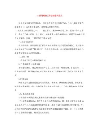 it试用期的工作总结格式范文