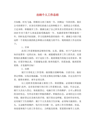 出纳个人工作总结 