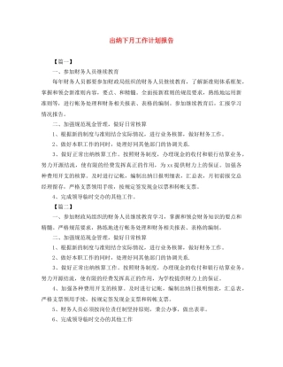 出纳下月工作计划报告 
