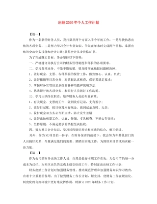 出纳2020年个人工作计划 