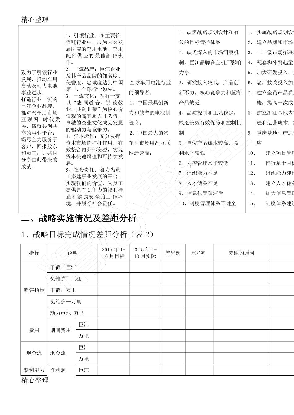 集团战略规划方案BLM_第3页