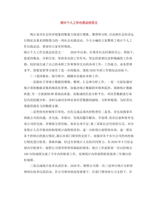 统计个人工作自我总结范文