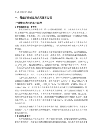 骨与骨组织的发生及构造资料