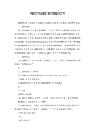 集团公司巡视反馈问题整改方案
