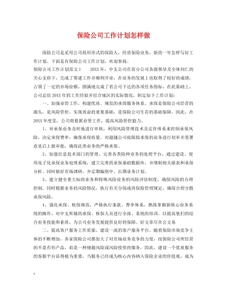 保险公司工作计划怎样做 