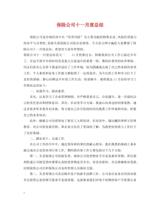 保险公司十一月度总结 