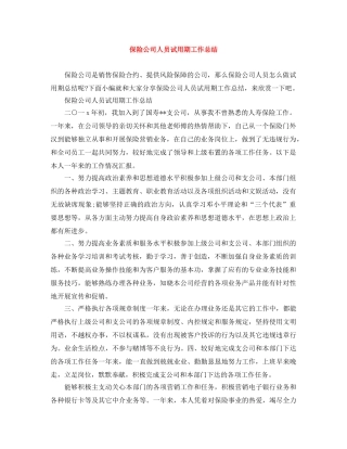 保险公司人员试用期工作总结 