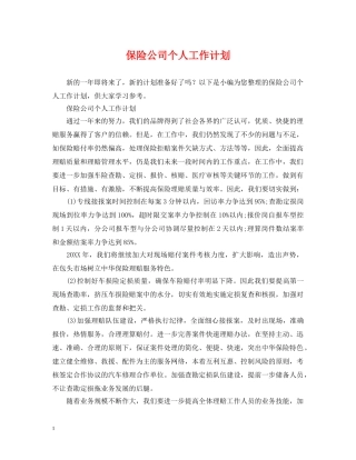保险公司个人工作计划 