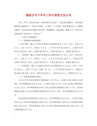 保险公司下半年工作计划范文怎么写 