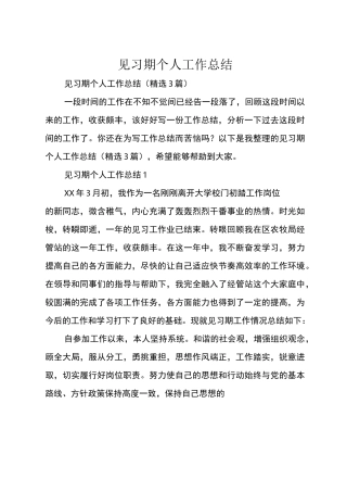 见习期个人工作总结
