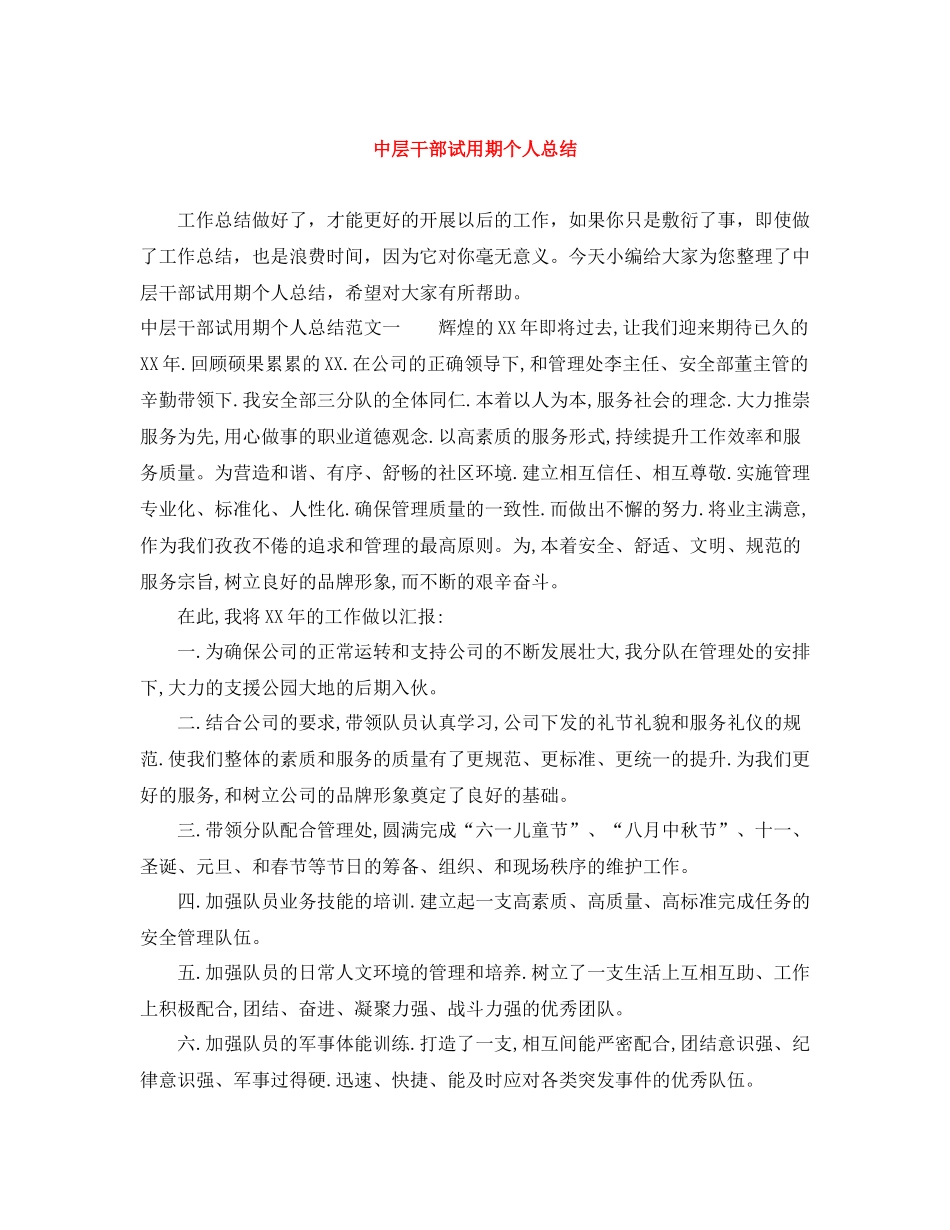 中层干部试用期个人总结_第1页