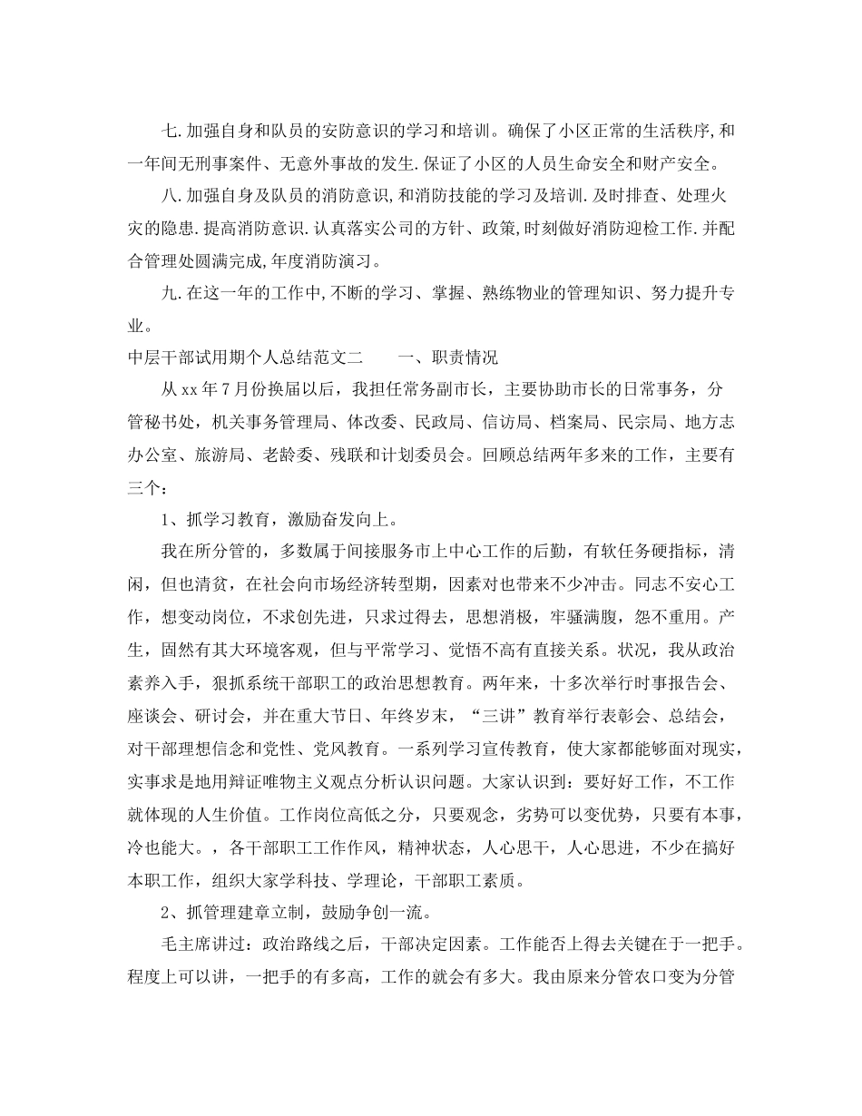 中层干部试用期个人总结_第2页
