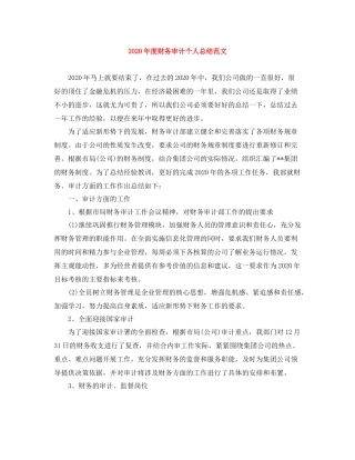 2020年度财务审计个人总结范文