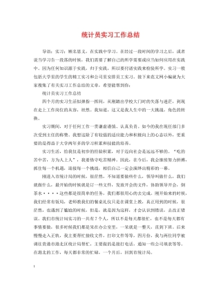 统计员实习工作总结2