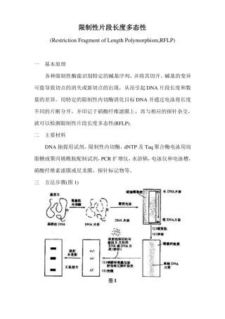 限制性片段长度多态性