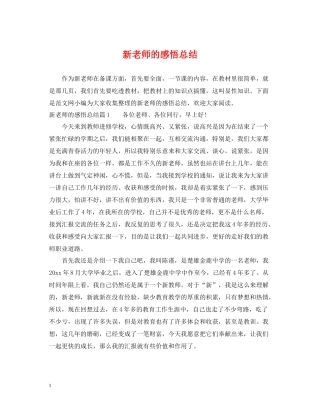 新老师的感悟总结