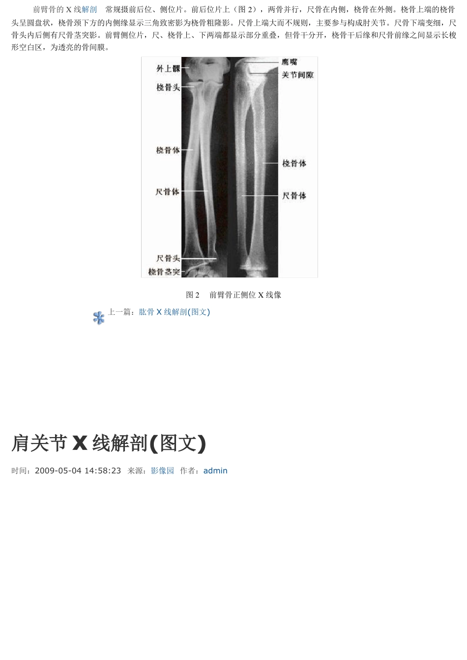 骨科X线解剖四肢、关节讲解_第2页