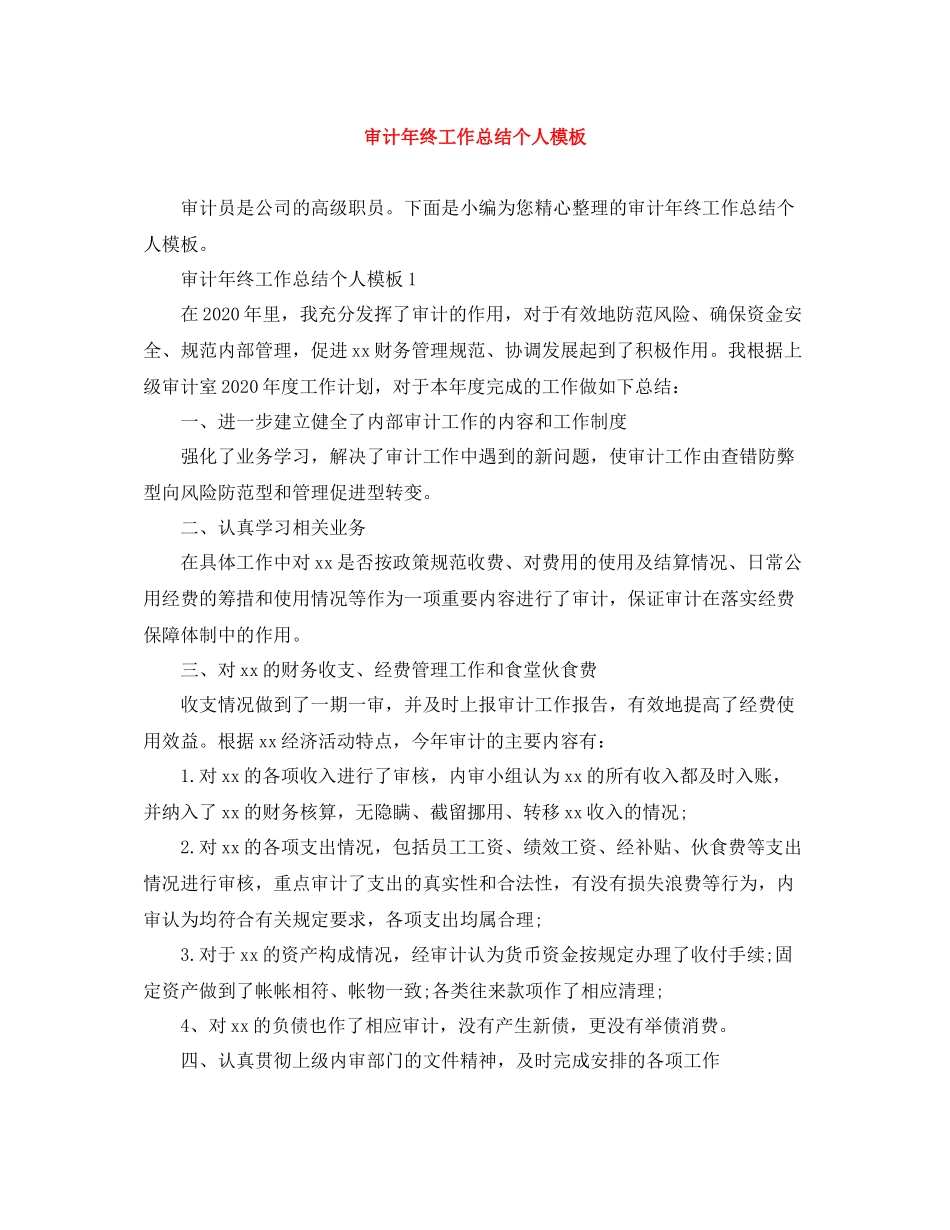 审计年终工作总结个人模板_第1页
