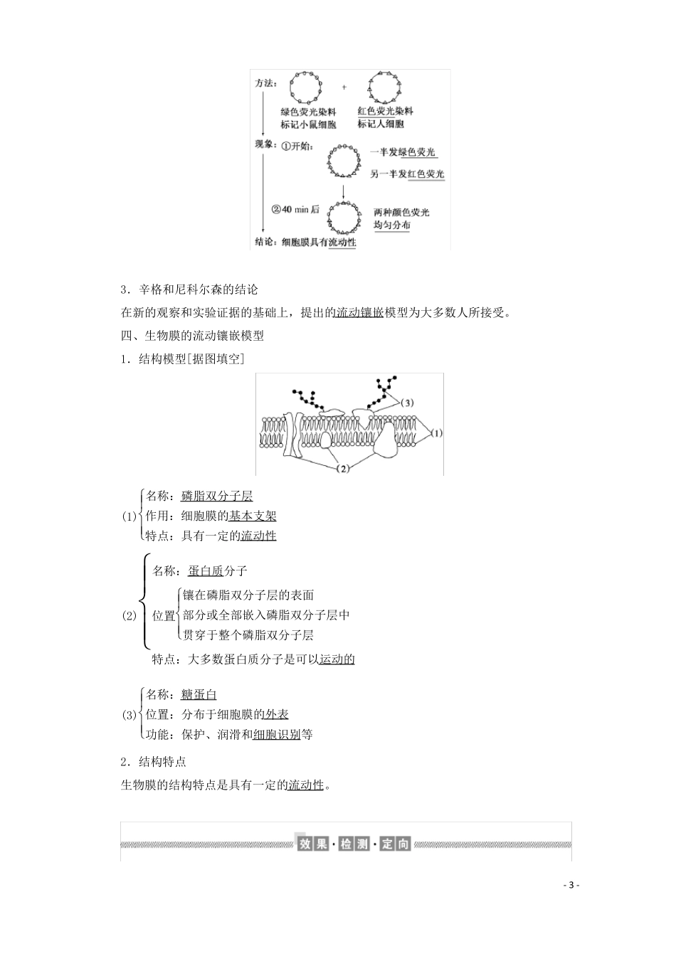 高中生物1细胞膜的结构和功能讲义+练习新人教版必修1_第3页