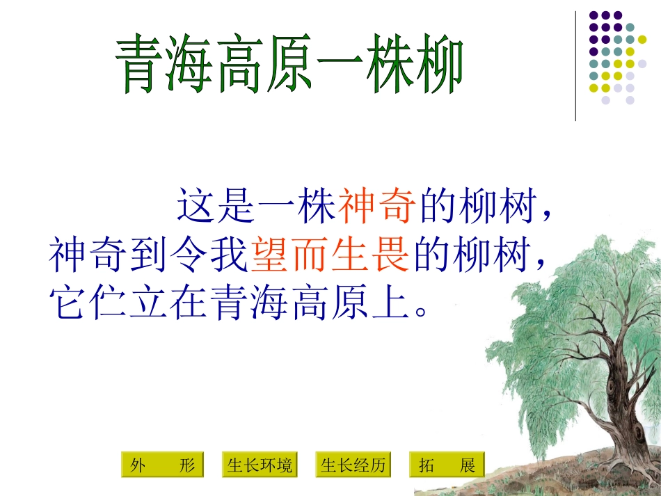 青海高原一株柳_第3页