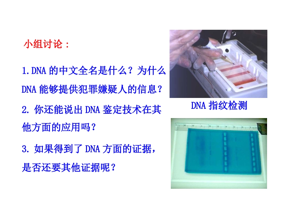 遗传信息的携带者——核酸_第2页