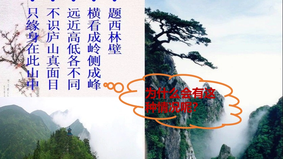 开城镇吕庄小学四年级数学观察物体（二）_第2页