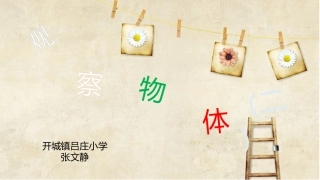 开城镇吕庄小学四年级数学观察物体（二）
